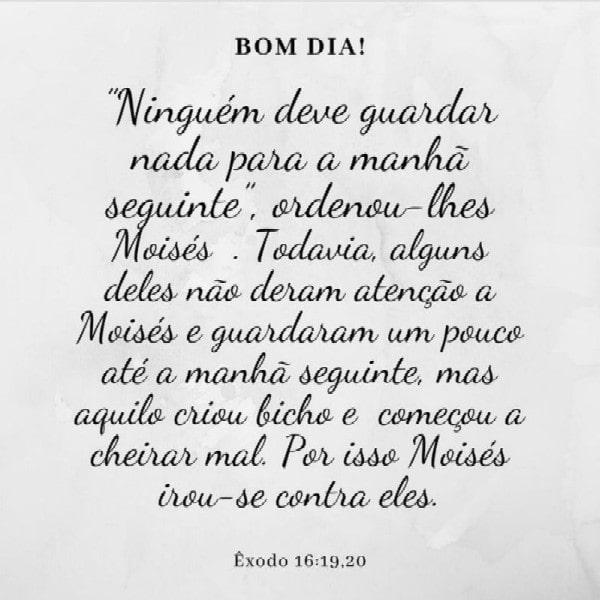 Êxodo 16:19