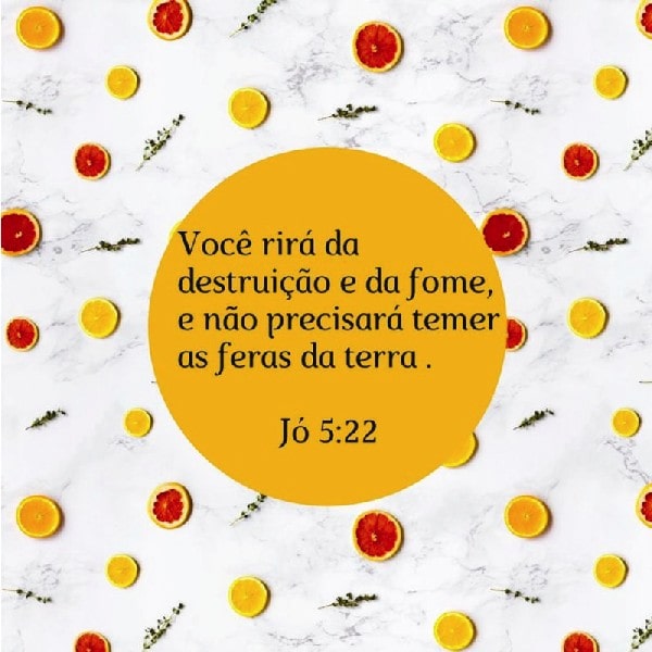 Jó 5:22