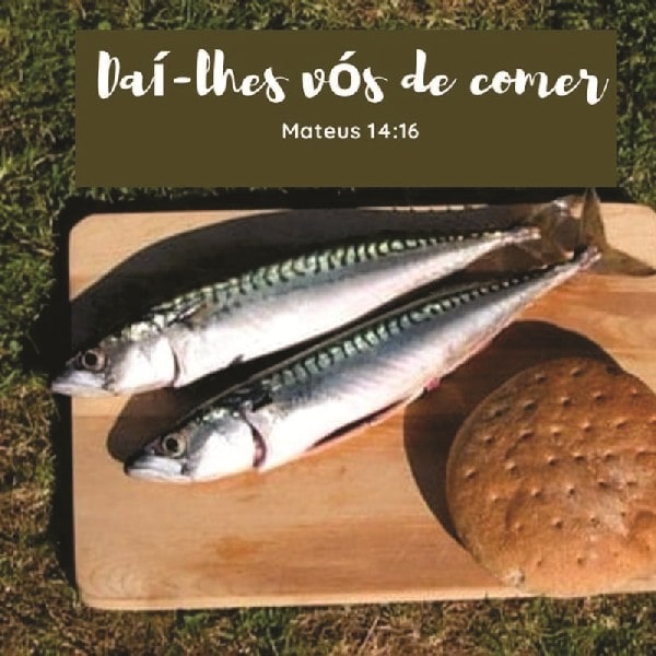 Mateus 14:16