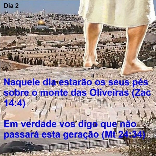 Mateus 24:32