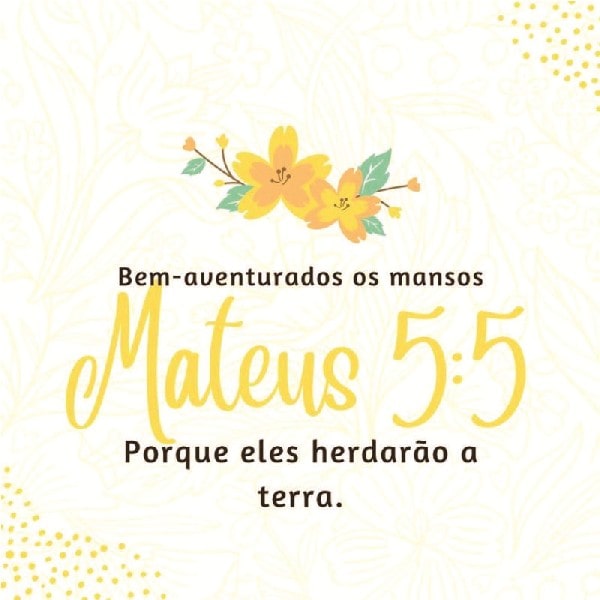 Mateus 5:5