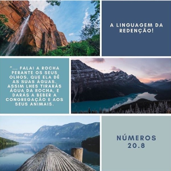 Números 20:8