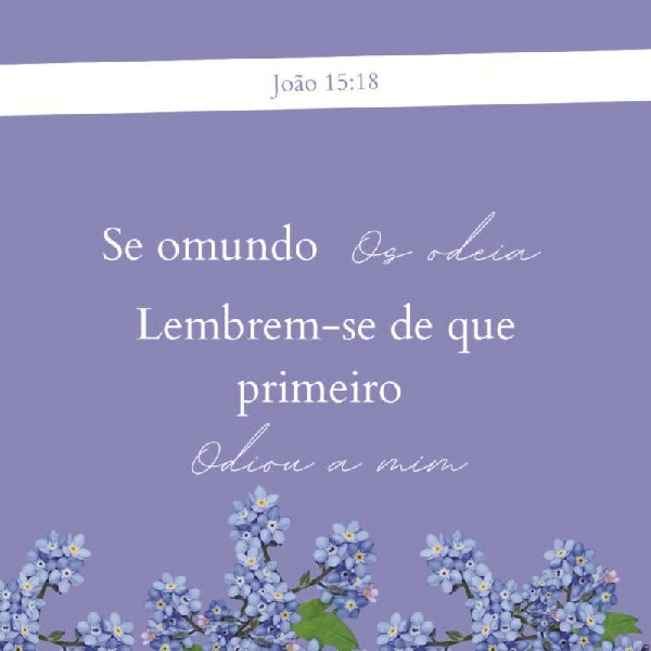 João 15:18