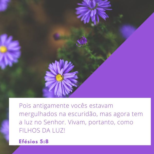 Efésios 5:8