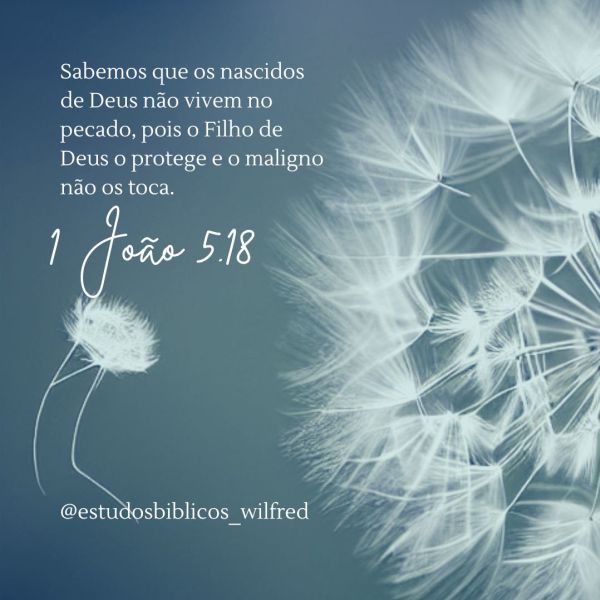 1 João 5:18